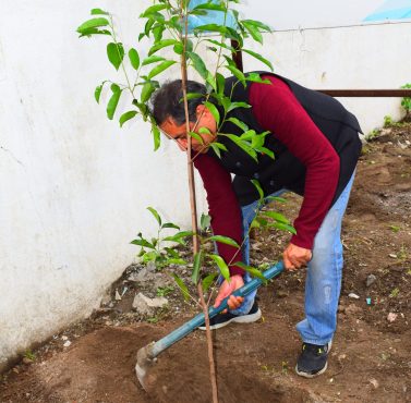 MG tree plantation 2