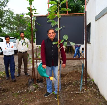 MG tree plantation 3 MG tree plantation 3