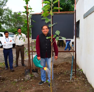 MG tree plantation 3