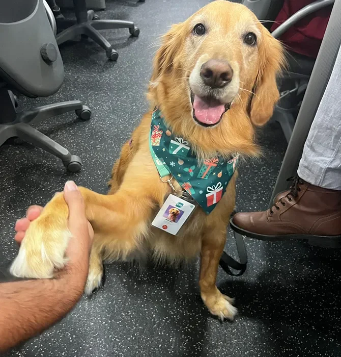 WhatsApp Image 2025-11-19 at 5.49